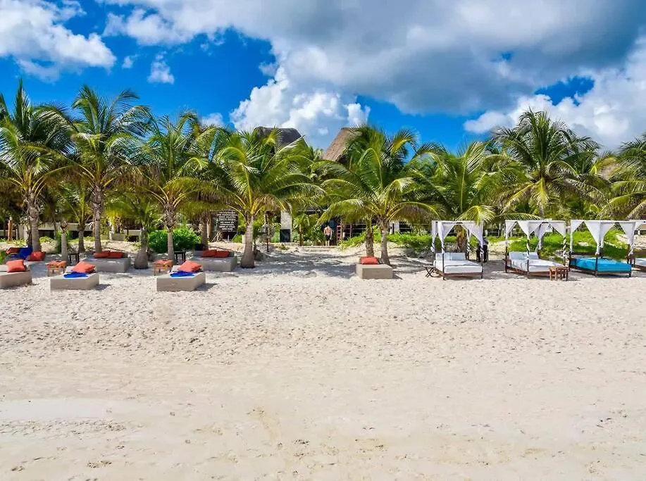 Villa Luxury Villa, 4 Pools - Beach Club - Nocturna Sahara Tulum Mexico